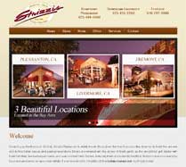 bay-area-web-design-5