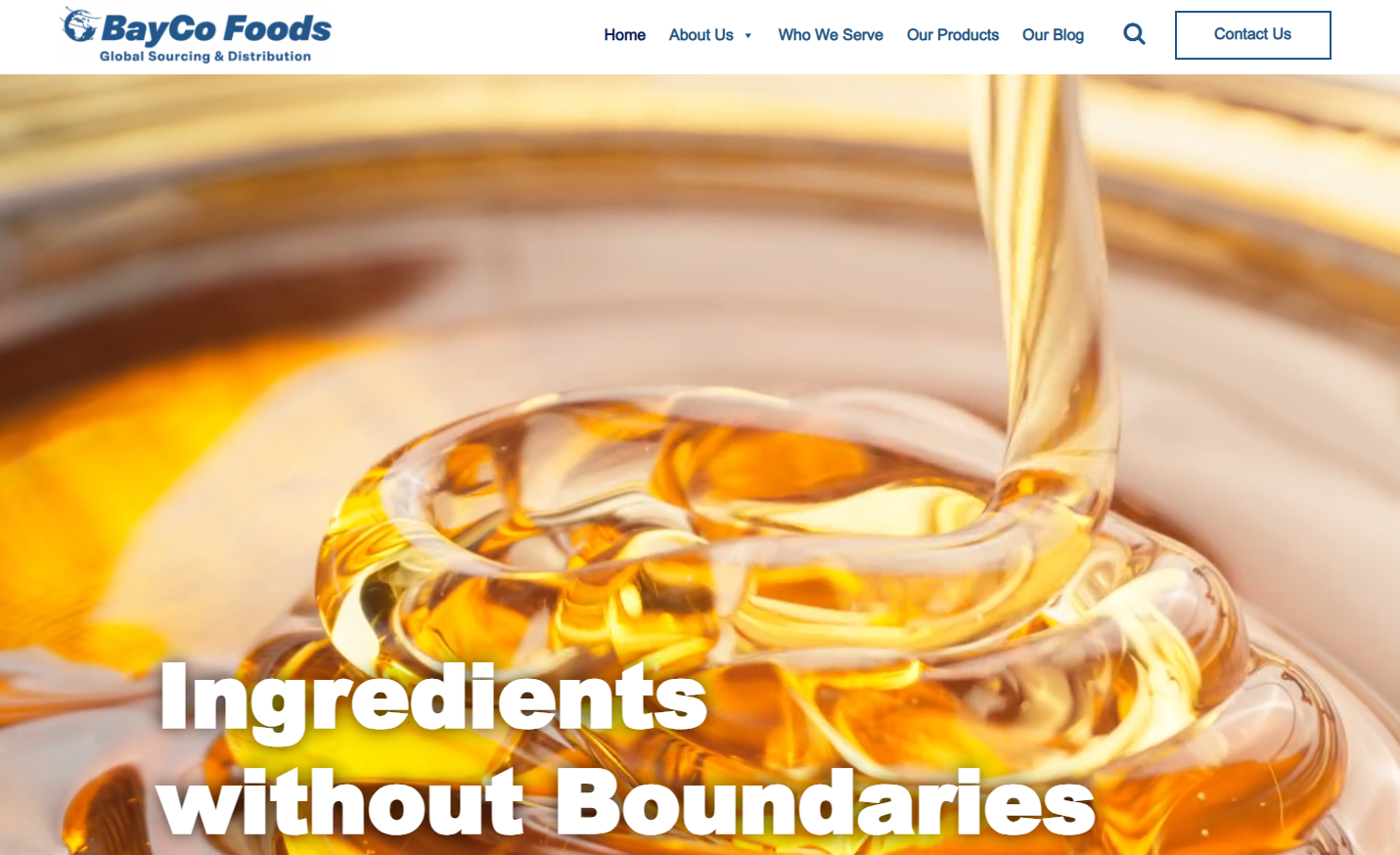 Bayco website design featured