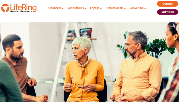 web design lifering portfolio header