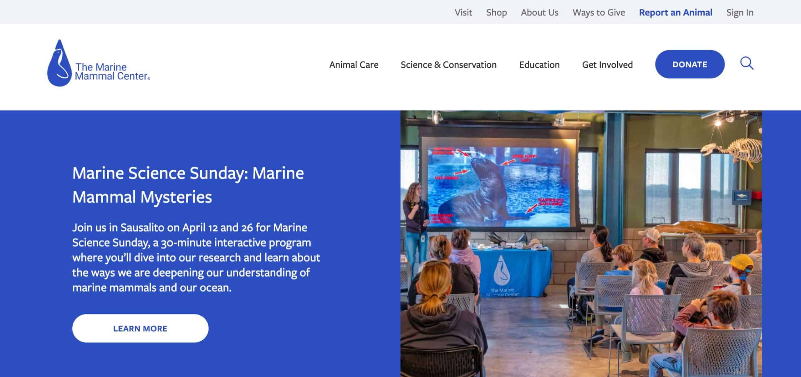 The Marine Mammal Center