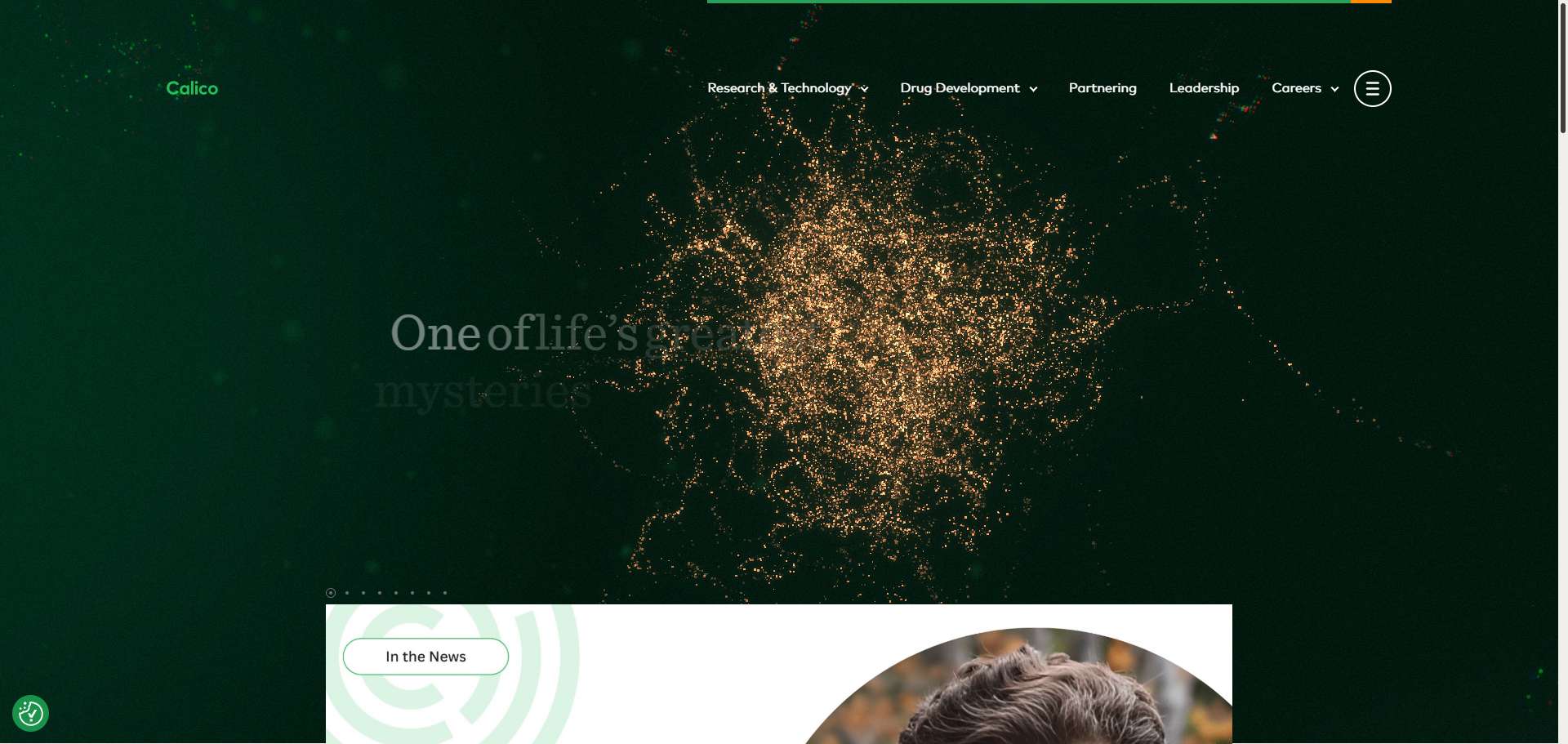 Calico | KO Websites Calico